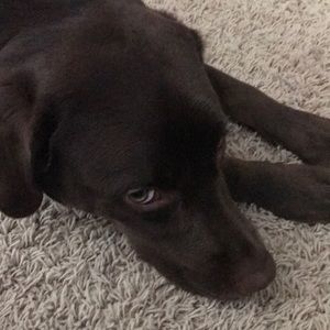 Meet your Posher, Kristen